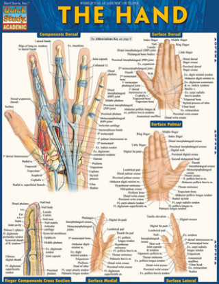 Book The Hand Inc. Barcharts