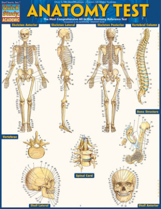 Kniha Anatomy Test Reference Guide (8.5 x 11) Inc. Barcharts