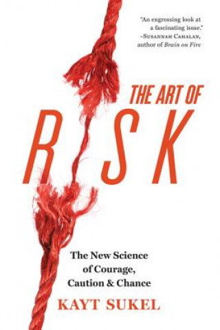 Kniha Art of Risk Kayt Sukel