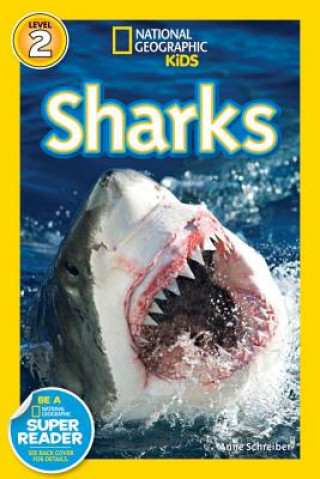 Książka National Geographic Readers: Sharks Anne Schreiber