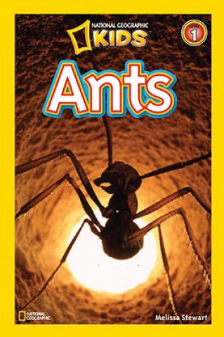 Könyv National Geographic Readers: Ants Melissa Stewart