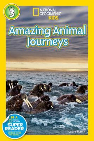 Livre National Geographic Readers: Great Migrations Amazing Animal Journeys Laura Marsh