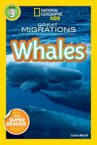 Carte National Geographic Readers: Great Migrations Whales Laura Marsh