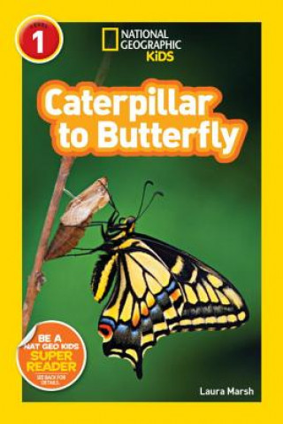 Книга National Geographic Readers: Caterpillar to Butterfly Laura Marsh