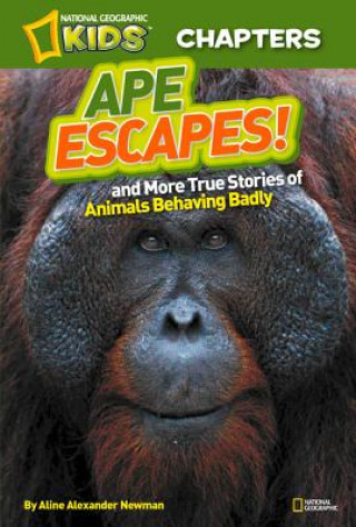 Knjiga National Geographic Kids Chapters: Ape Escapes! Aline Alexander Newman