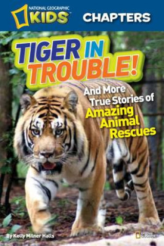 Książka National Geographic Kids Chapters: Tiger in Trouble! Kelly Milner Halls