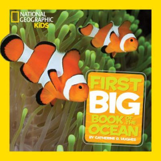 Könyv National Geographic Little Kids First Big Book of the Ocean Catherine D. Hughes