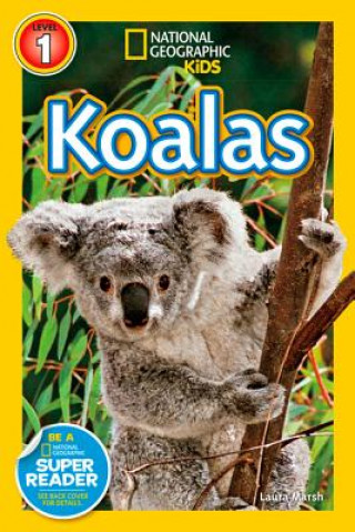 Kniha Koalas Laura Marsh