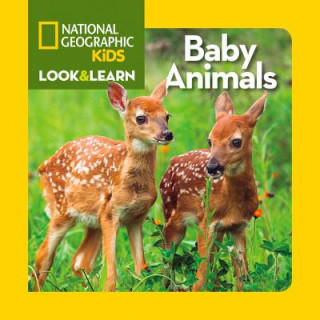 Carte Look and Learn: Baby Animals National Geographic Society