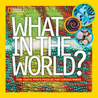 Book What in the World? Julie Vosburgh Agnone