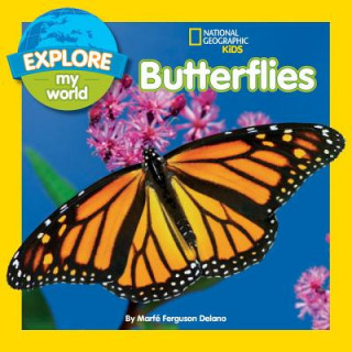 Kniha Explore My World Butterflies Marfe Ferguson Delano