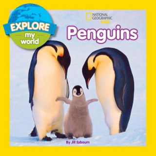 Könyv Explore My World Penguins Jill Esbaum