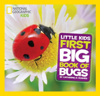 Kniha National Geographic Little Kids First Big Book of Bugs Catherine D. Hughes