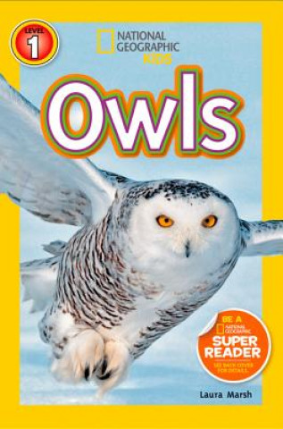 Kniha Owls Laura Marsh
