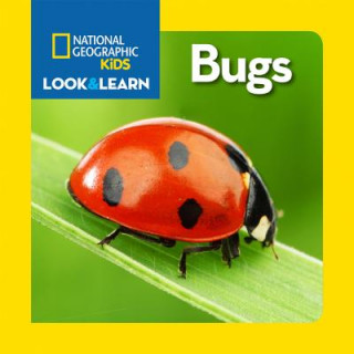 Kniha Look and Learn: Bugs Eva Steele-saccio