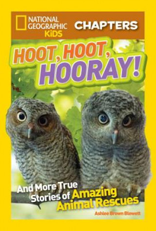 Kniha National Geographic Kids Chapters: Hoot, Hoot, Hooray! Ashlee Brown Blewett