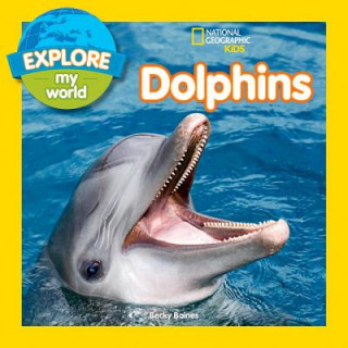Carte Explore My World Dolphins Becky Baines