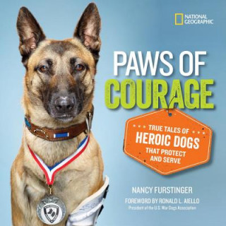 Book Paws of Courage Nancy Furstinger