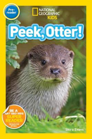 Kniha National Geographic Readers: Peek, Otter Shira Evans