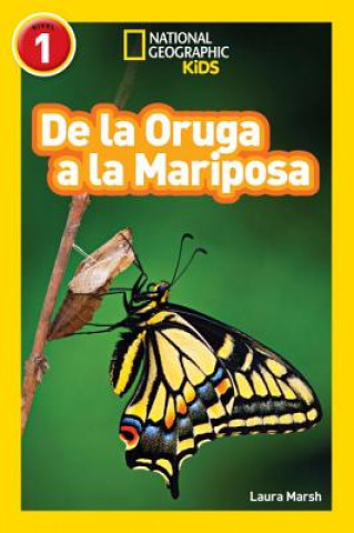 Kniha National Geographic Readers: De la Oruga a la Mariposa (Caterpillar to Butterfly) Laura Marsh