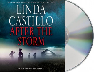 Audio After the Storm Linda Castillo