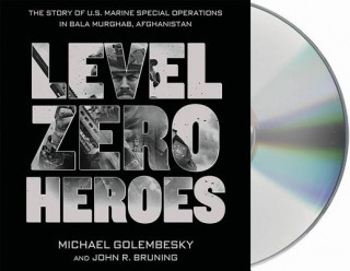 Audio  Level Zero Heroes Michael Golembesky