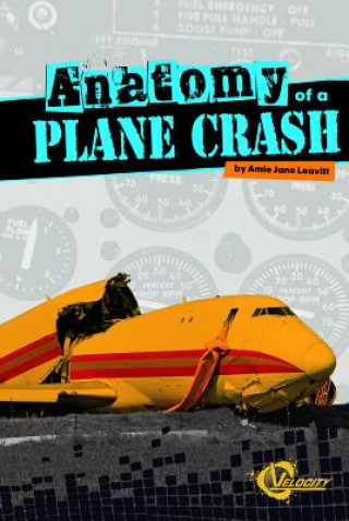 Knjiga Anatomy of a Plane Crash Amie Jane Leavitt