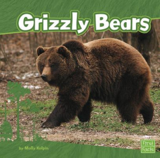 Carte Grizzly Bears Molly Kolpin