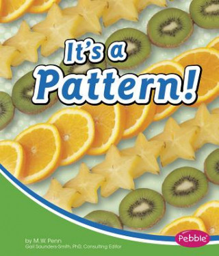 Kniha It's a Pattern! M. W. Penn
