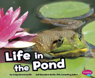 Книга Life in a Pond Craig Hammersmith