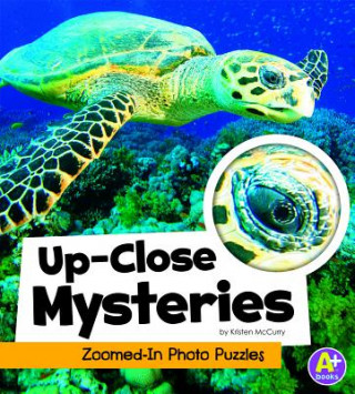 Книга Up-Close Mysteries Kristen McCurry