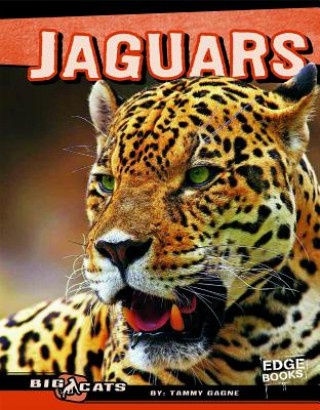 Книга Jaguars Tammy Gagne