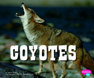 Kniha Coyotes Joanne Mattern