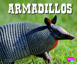 Book Armadillos Steve Potts