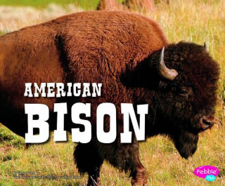Knjiga American Bison Steve Potts