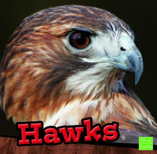 Livre Hawks Cecilia Pinto Mccarthy