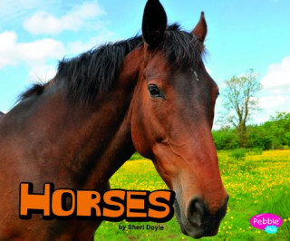 Carte Horses Sheri Doyle