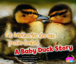 Könyv La historia de un pato bebe / A Baby Duck Story Martha E. H. Rustad