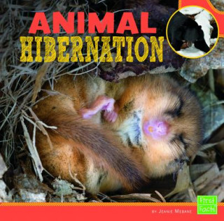 Könyv Animal Hibernation Jeanie Mebane