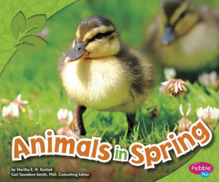 Kniha Animals in Spring Martha E. H. Rustad