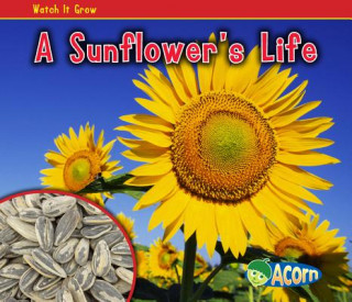 Carte A Sunflower's Life Nancy Dickmann