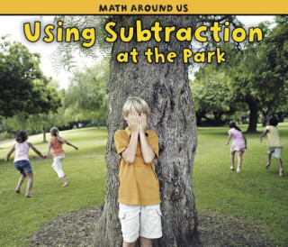 Boek Using Subtraction at the Park Tracey Steffora