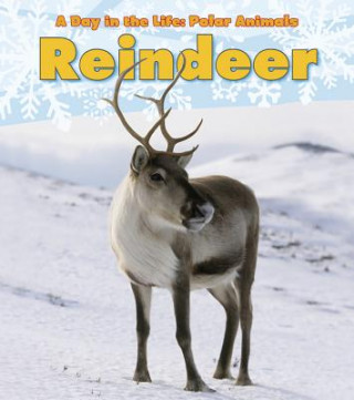 Buch Reindeer Katie Marsico