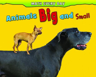 Knjiga Animals Big and Small Daniel Nunn