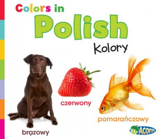 Kniha Colors in Polish Daniel Nunn