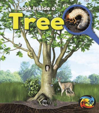 Knjiga Tree Richard Spilsbury