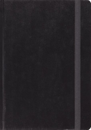 Knjiga ESV Single Column Journaling Bible, Large Print 