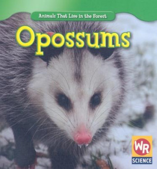 Knjiga Opossums JoAnn Early Macken