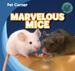 Boek Marvelous Mice Rose Carraway
