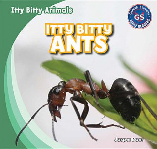 Knjiga Itty Bitty Ants Jasper Baer